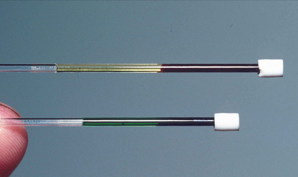 The top tube shows a blood sample from a&nbsp; red-blooded lizard from New Guinea ( Lamprolepis smaragdina ). The bottom tube reveals the bright green blood of  Prasinohaema . The bile pigments in this blood is toxic to other species, but  Prasinohaema &nbsp;handles it just fine. Credit: Chris Austin, LSU.