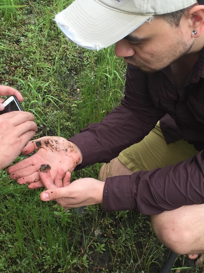 Showing off a little froggo at Maurepas Wildlife Management Area