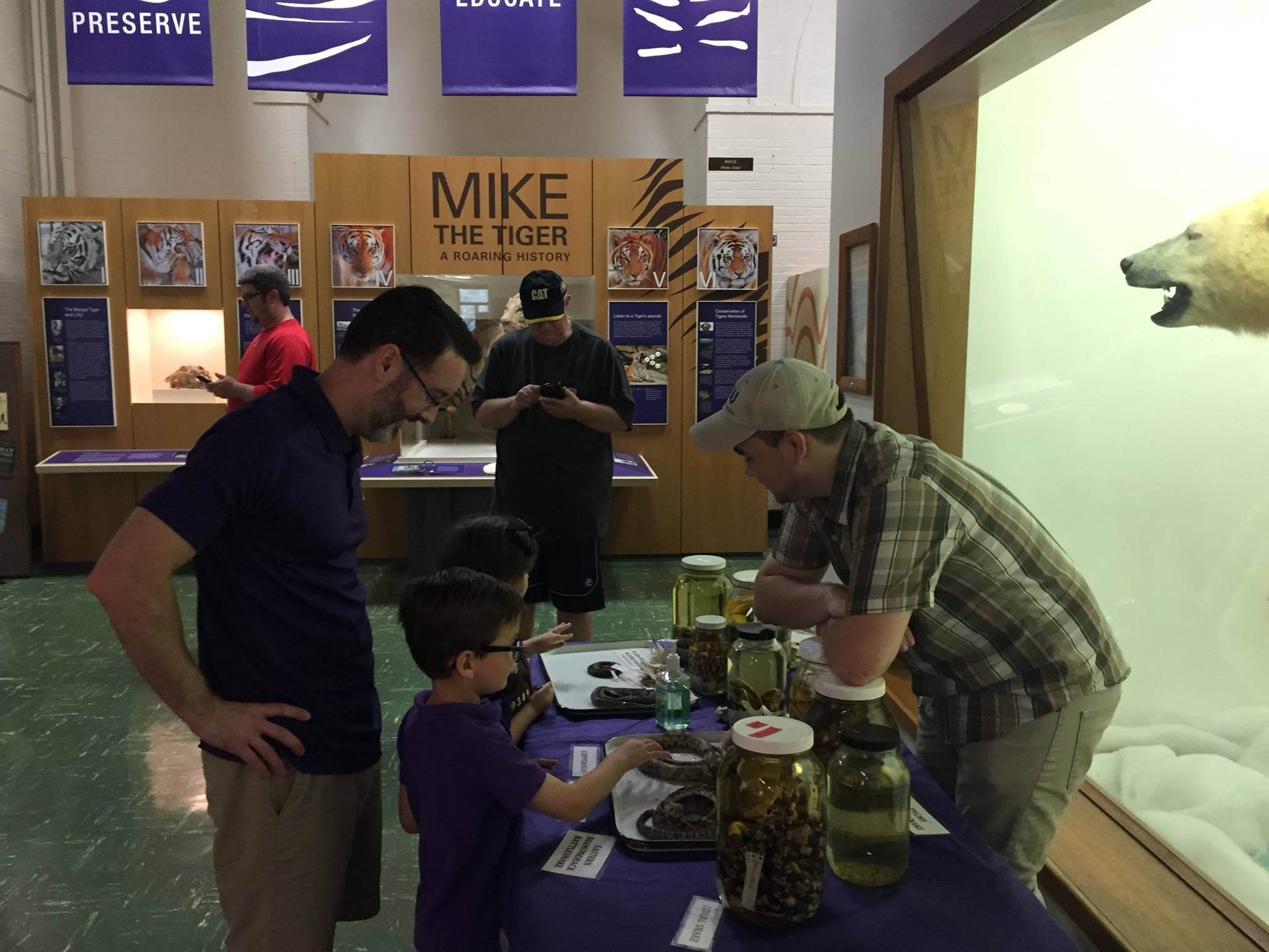 Special Saturdays: Is it Venomous?